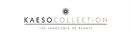 kaeso logo