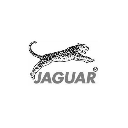 Jaguar Scissors