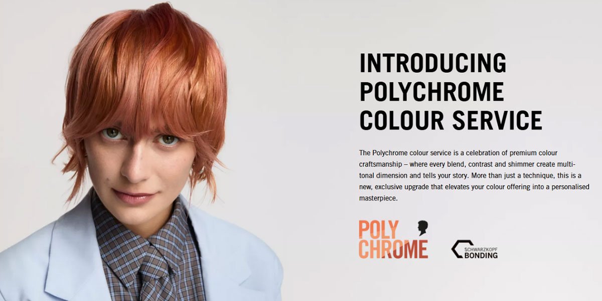 Polychrome Service  main image