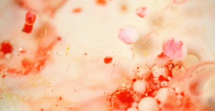 The-Acid-Test-Featured.jpg