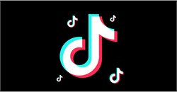 The Viral Roundup: August TikTok Trends