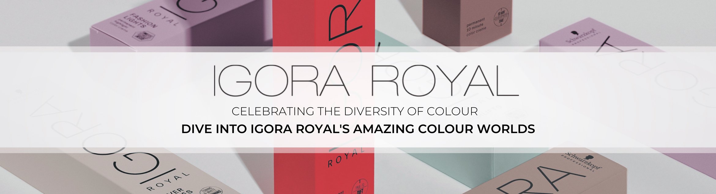 CELEBRATING-THE-DIVERSITY-OF-COLOUR-(1)