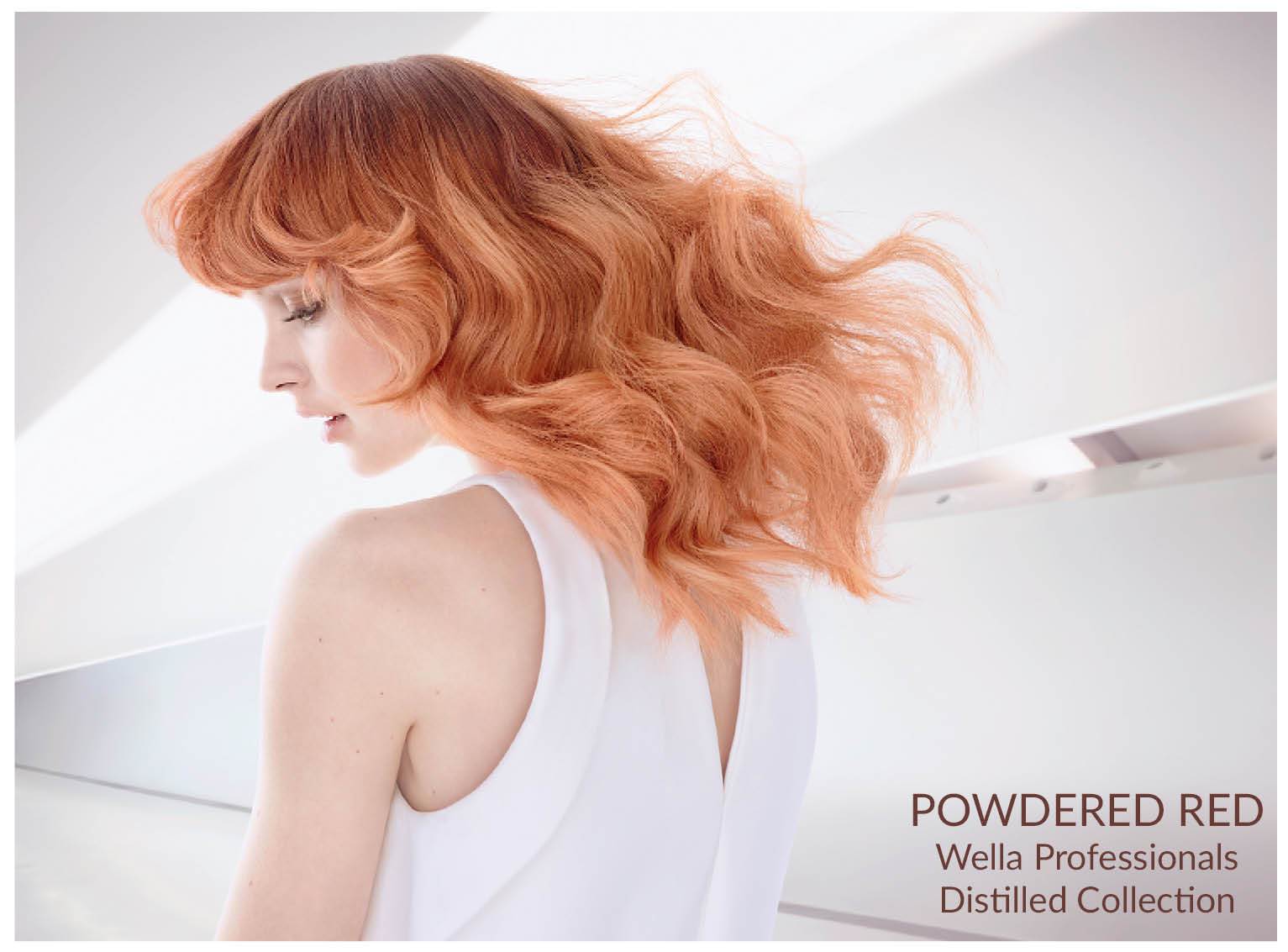 wella powdered red model