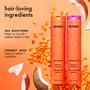 amika Normcore Signature Shampoo 1000mlAlternative Image3