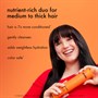 amika Normcore Signature Shampoo 275mlAlternative Image1