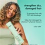 amika The Kure Strength Repair Conditioner 275mlAlternative Image1