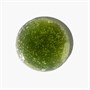 Bio-Therapeutic Clarity Serum 60mlAlternative Image3