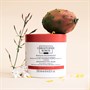 Christophe Robin Regenerating Mask with Prickly Pear Oil 250mlAlternative Image3