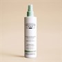 Christophe Robin Hydrating Leave-in-Mist With Aloe Vera 150mlAlternative Image1