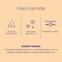 Skin Republic Niacinamide 10% + Zinc 1% Serum 30mlAlternative Image3