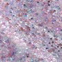 OPI GEL PUT ON SOMETHING ICE 15ML - Original FormulationAlternative Image3