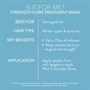 Pureology Strength Cure Treatment Mask 250mlAlternative Image5