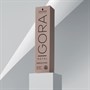 Schwarzkopf Igora Royal Absolutes 60ml 6-60 - Dark Blonde Chocolate NaturalAlternative Image1