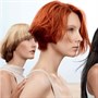Wella Professionals Koleston Perfect ME+ 60ml 6/0 - Dark BlondeAlternative Image3