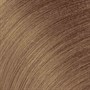 Redken Color Gels Lacquers Permanent Hair Color 60ml - 7GB ButterscotchAlternative Image1