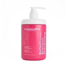 Goddess Maintenance Company BioTech Blowout Restorative Shampoo 750ml