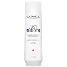 Goldwell Dualsenses Just Smooth Taming Shampoo 250ml