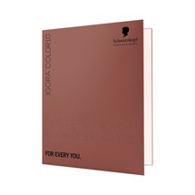 Schwarzkopf Igora Color 10 Colour Chart