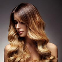 Balayage & Freehand Colour Course - Remote