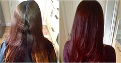 How-to-create-this-stunning-autumnal-colour.jpg